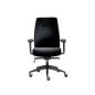 Preview: Ergonomischer Bürodrehstuhl Comfort II Basic